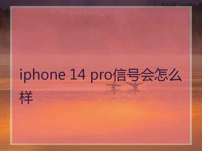 iphone 14 pro信号会怎么样