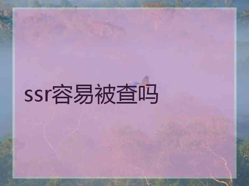 ssr容易被查吗