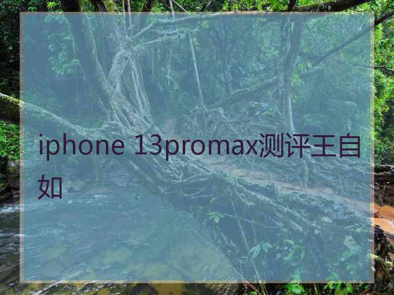 iphone 13promax测评王自如