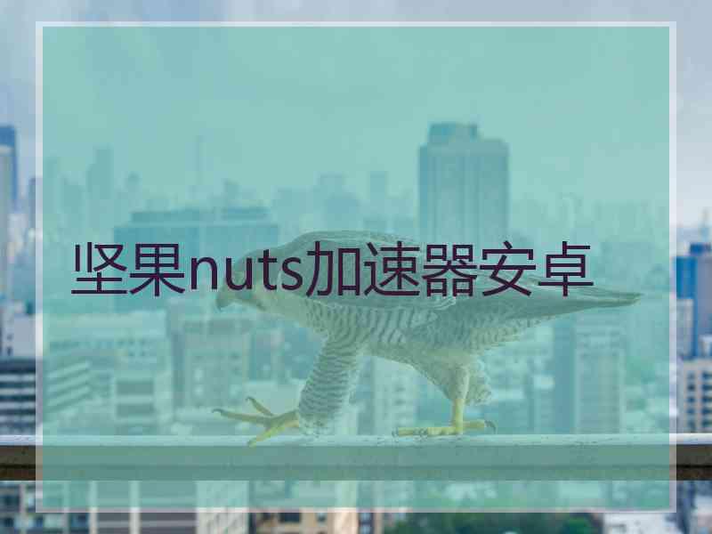 坚果nuts加速器安卓