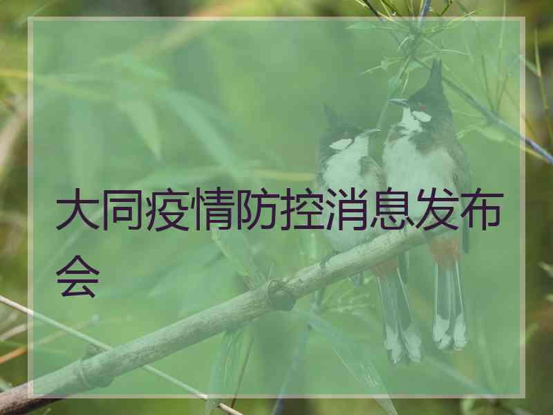 大同疫情防控消息发布会