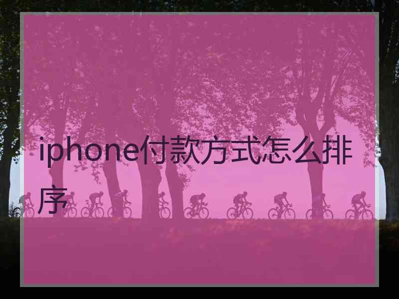 iphone付款方式怎么排序