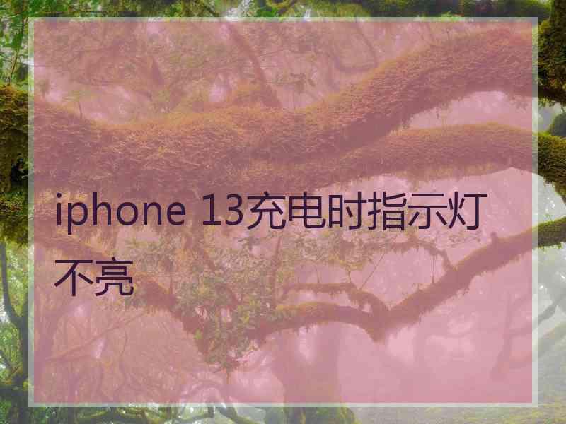 iphone 13充电时指示灯不亮