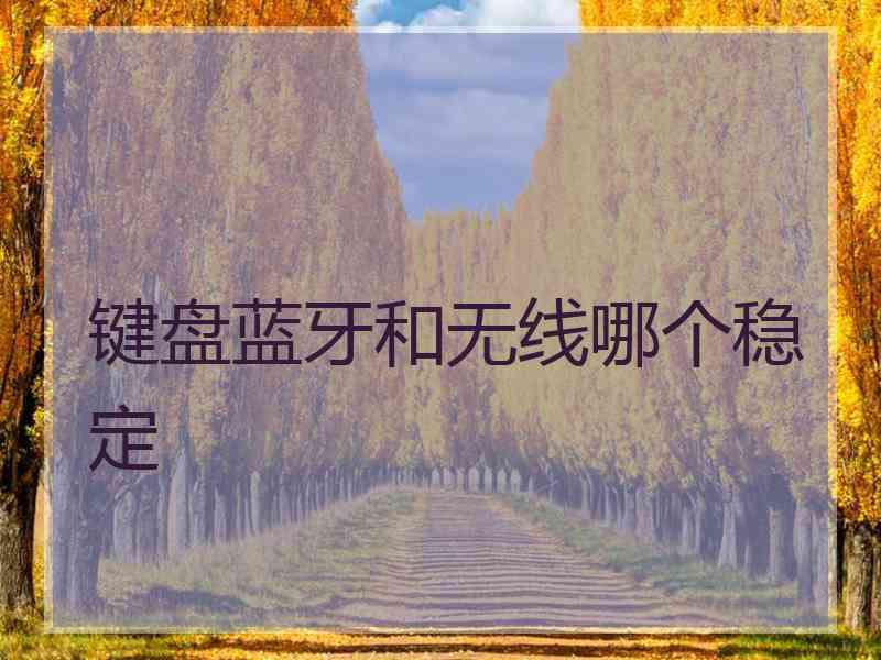 键盘蓝牙和无线哪个稳定