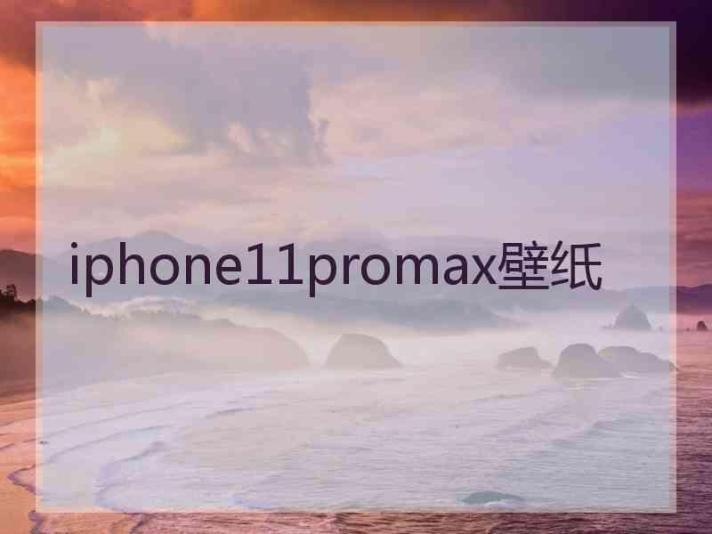 iphone11promax壁纸