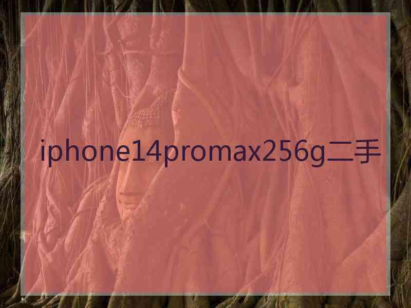 iphone14promax256g二手