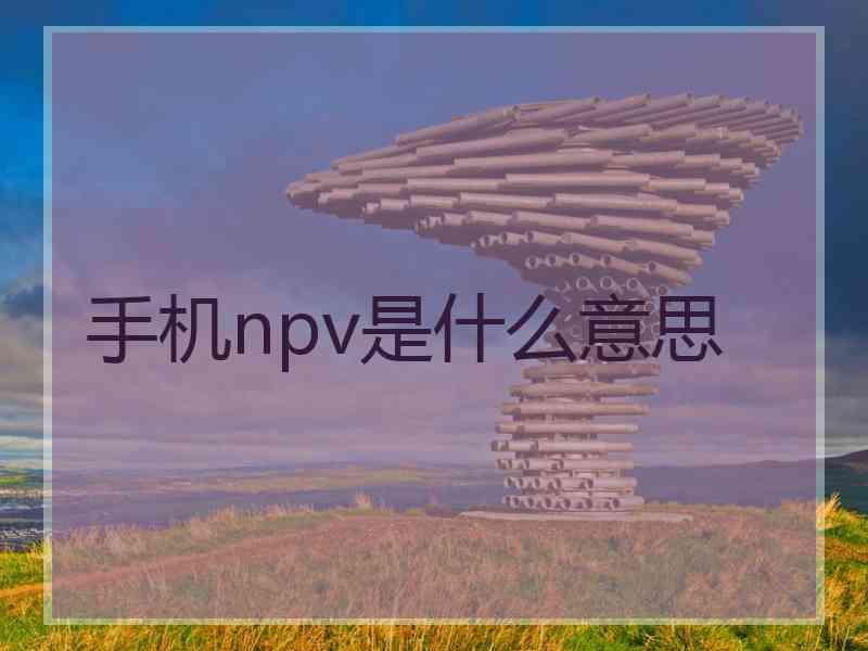 手机npv是什么意思