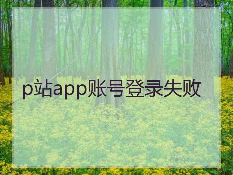 p站app账号登录失败