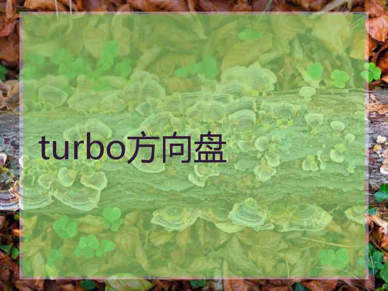 turbo方向盘