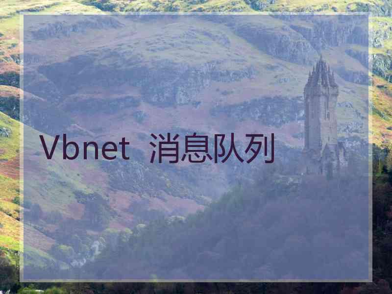 Vbnet  消息队列