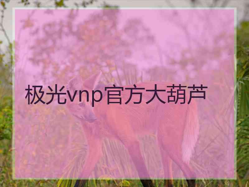 极光vnp官方大葫芦