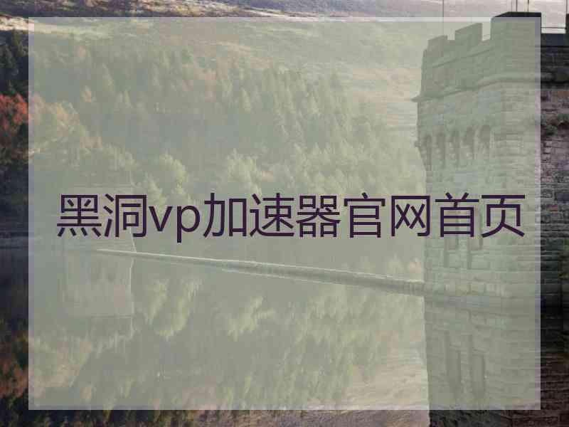 黑洞vp加速器官网首页