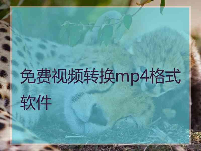 免费视频转换mp4格式软件