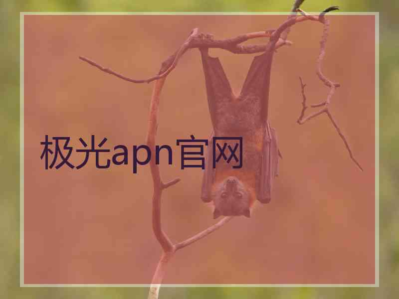 极光apn官网