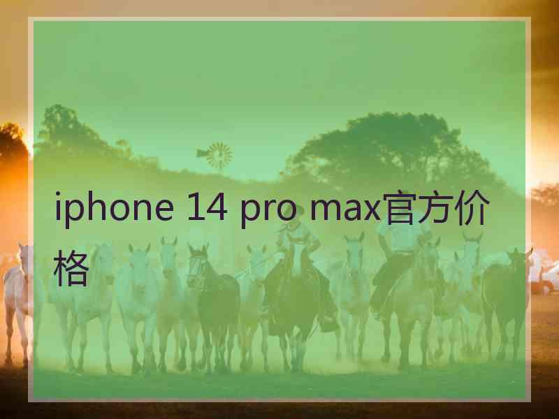 iphone 14 pro max官方价格