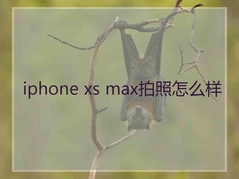 iphone xs max拍照怎么样