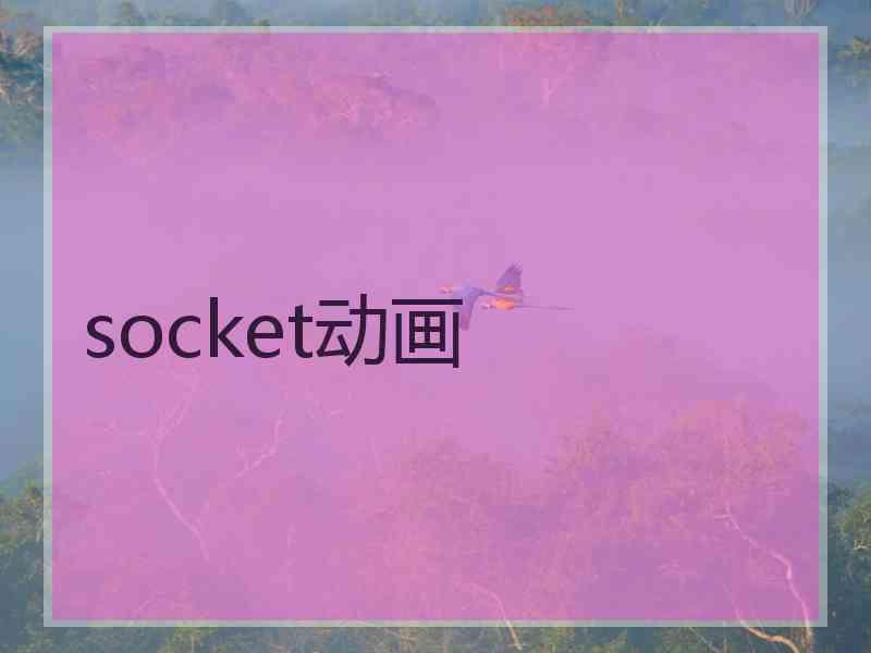 socket动画