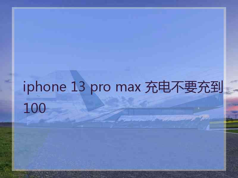 iphone 13 pro max 充电不要充到100