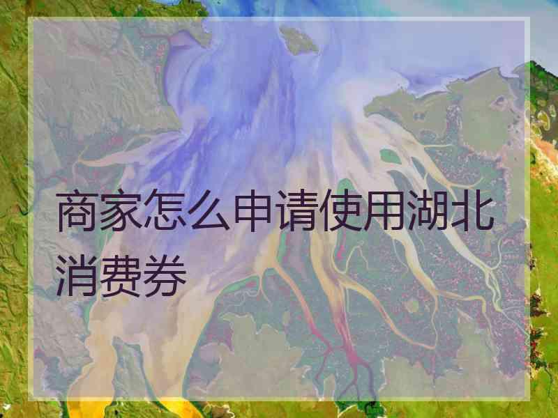 商家怎么申请使用湖北消费券