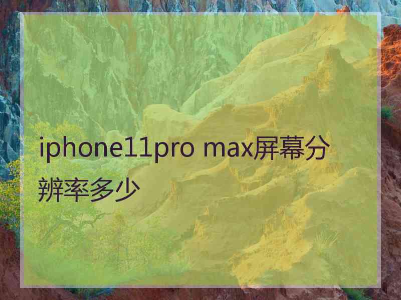 iphone11pro max屏幕分辨率多少