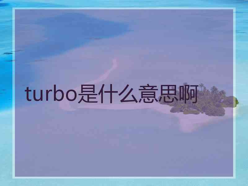 turbo是什么意思啊