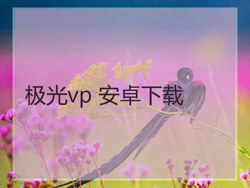 极光vp 安卓下载