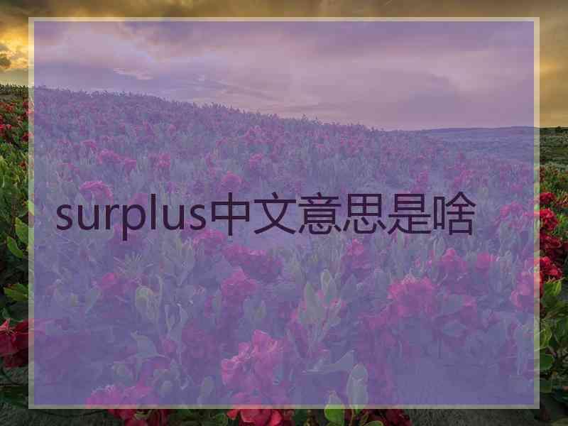 surplus中文意思是啥