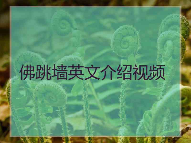 佛跳墙英文介绍视频