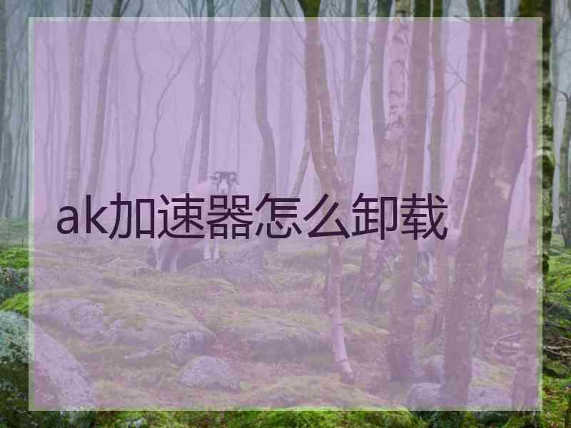 ak加速器怎么卸载