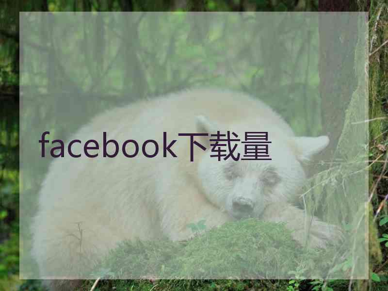 facebook下载量