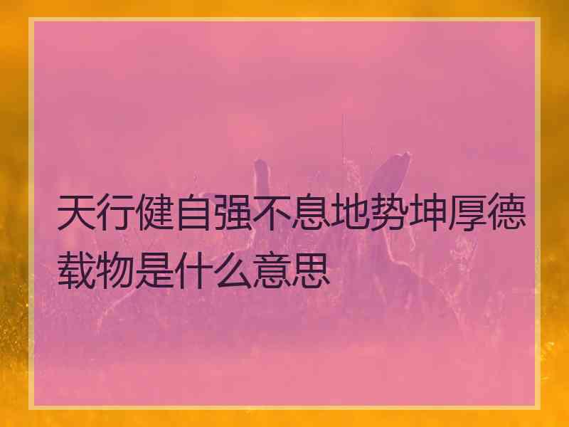 天行健自强不息地势坤厚德载物是什么意思