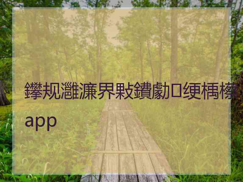 鑻规灉濂界敤鐨勮绠楀櫒app