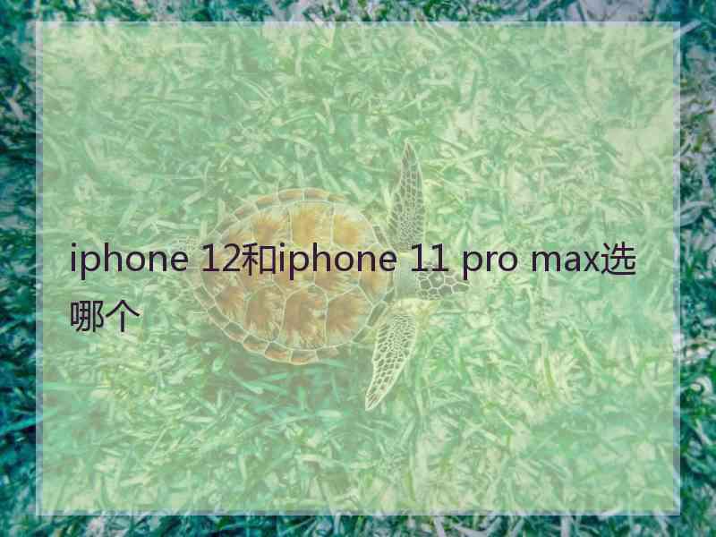 iphone 12和iphone 11 pro max选哪个