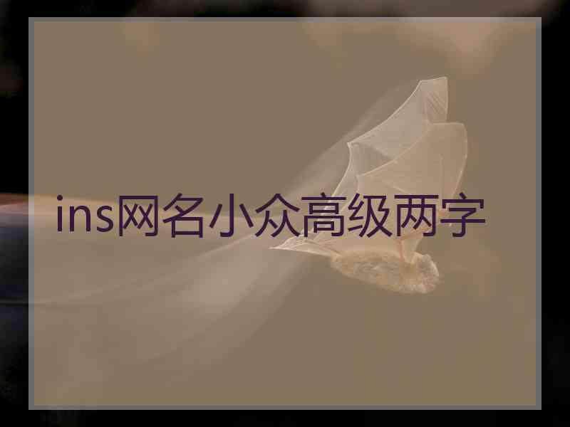 ins网名小众高级两字