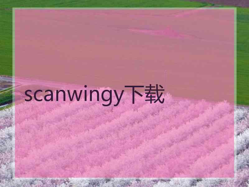 scanwingy下载