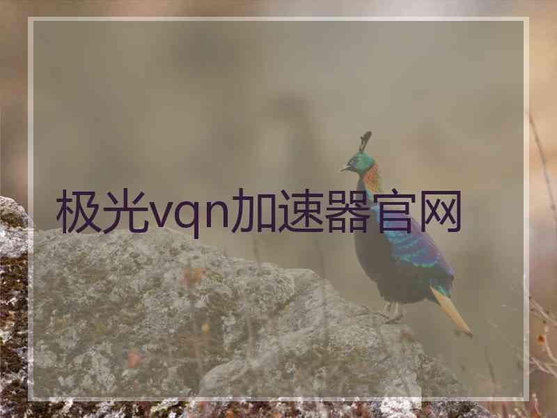 极光vqn加速器官网