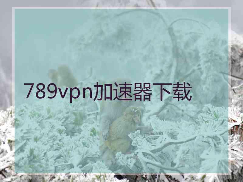 789vpn加速器下载