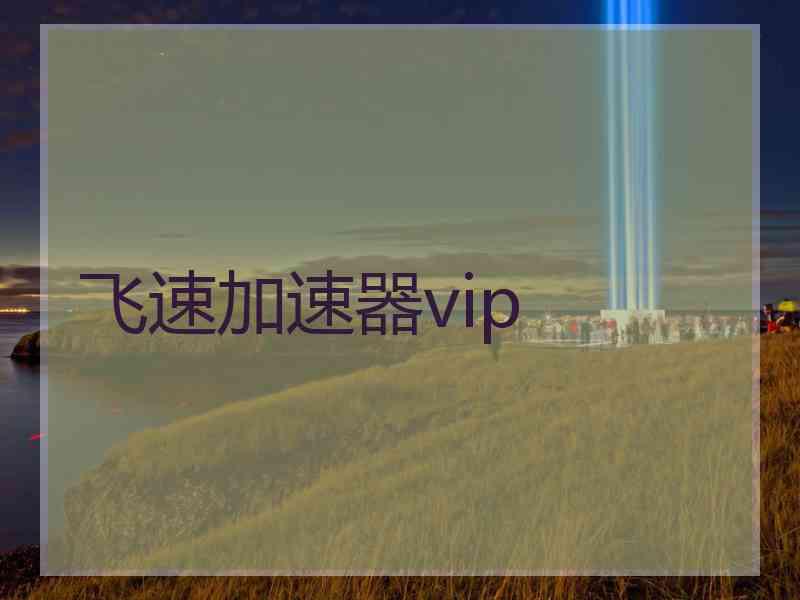 飞速加速器vip