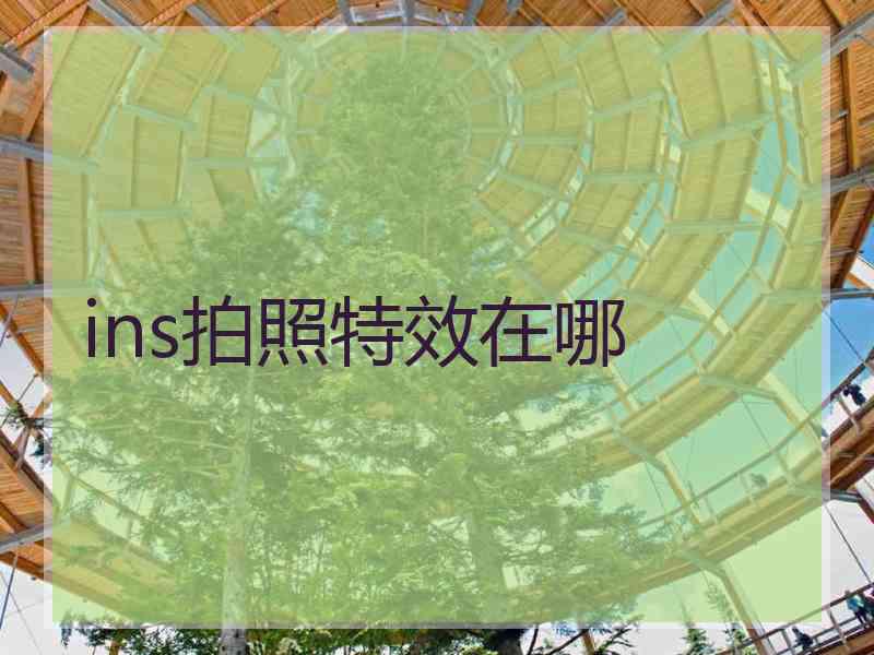 ins拍照特效在哪