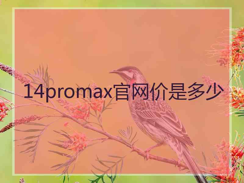 14promax官网价是多少