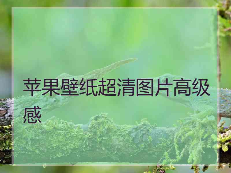 苹果壁纸超清图片高级感