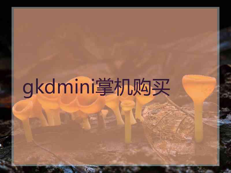 gkdmini掌机购买