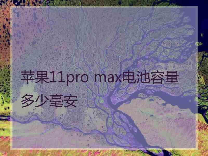 苹果11pro max电池容量多少毫安