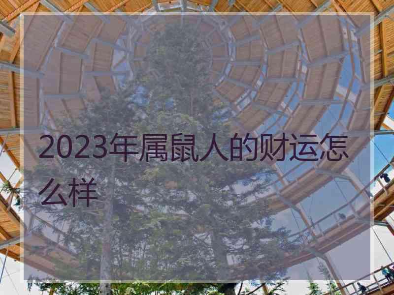 2023年属鼠人的财运怎么样