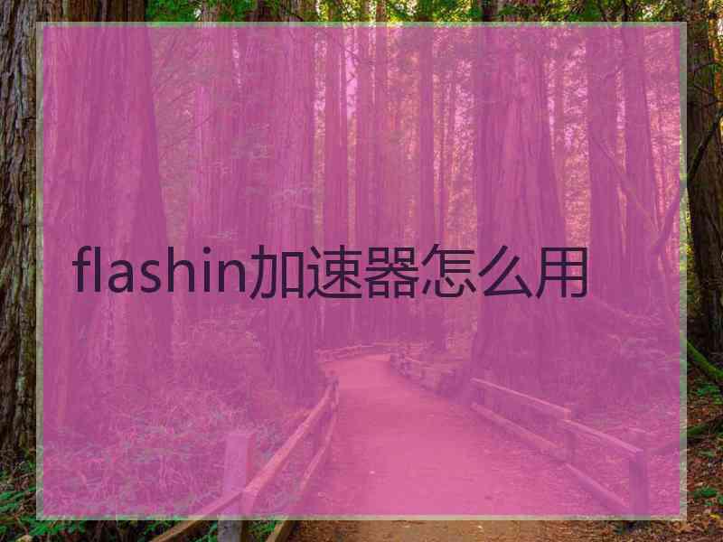 flashin加速器怎么用