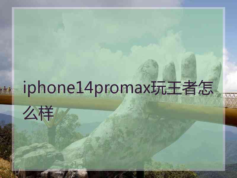 iphone14promax玩王者怎么样