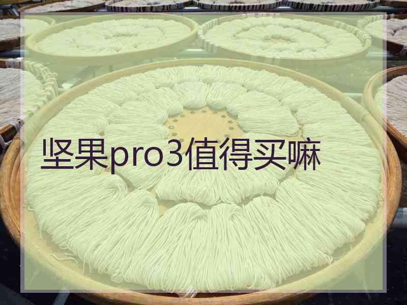 坚果pro3值得买嘛