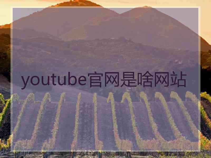 youtube官网是啥网站