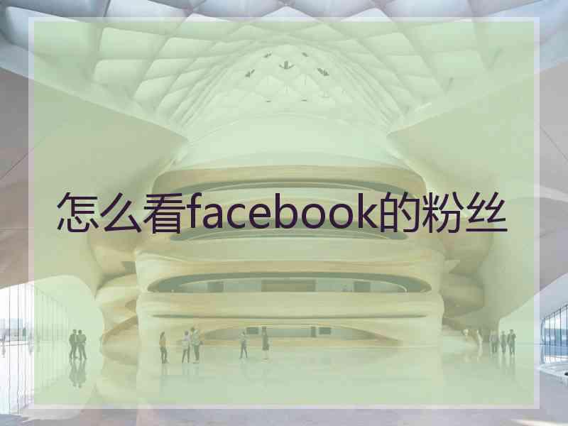 怎么看facebook的粉丝