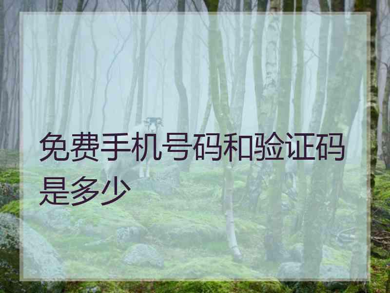 免费手机号码和验证码是多少